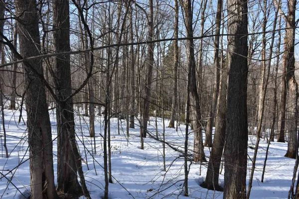 $150,000 | 397 Winch Hill Extension, Roxbury, VT 05663