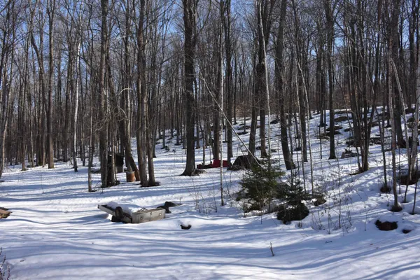 $150,000 | 397 Winch Hill Extension, Roxbury, VT 05663