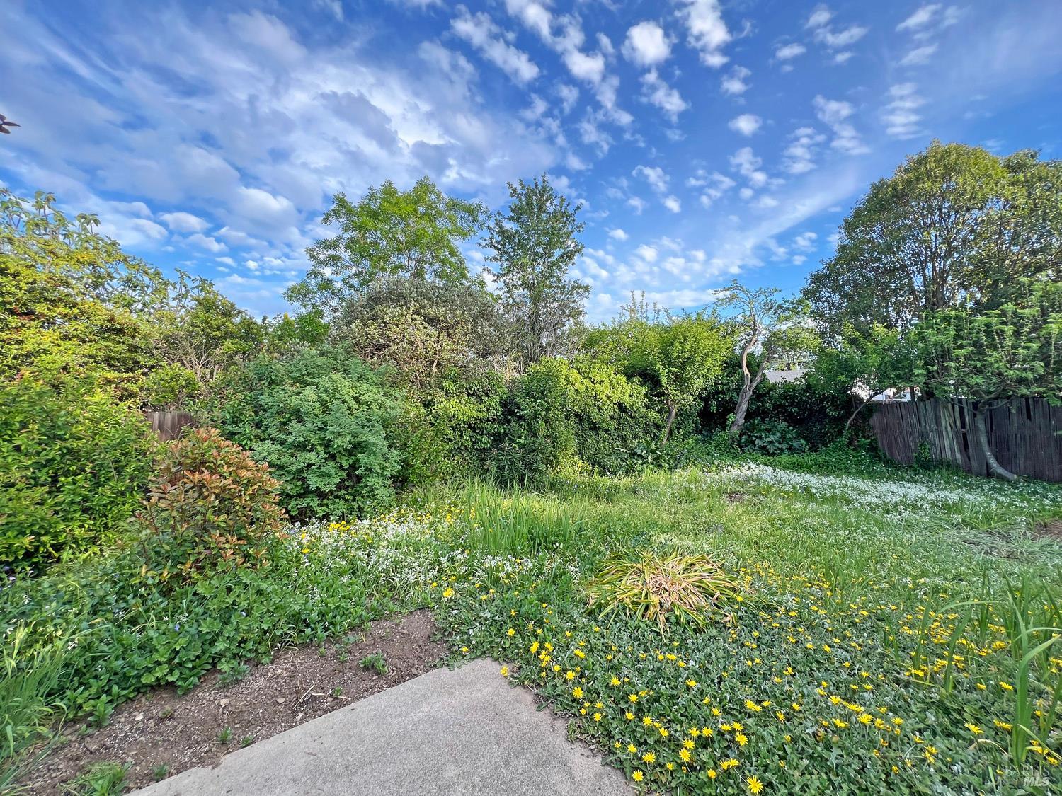 1101 Elm Street Ukiah, CA 95482 - Photo 21 of 23