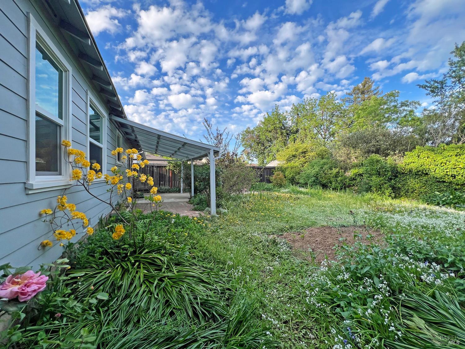 1101 Elm Street Ukiah, CA 95482 - Photo 5 of 23