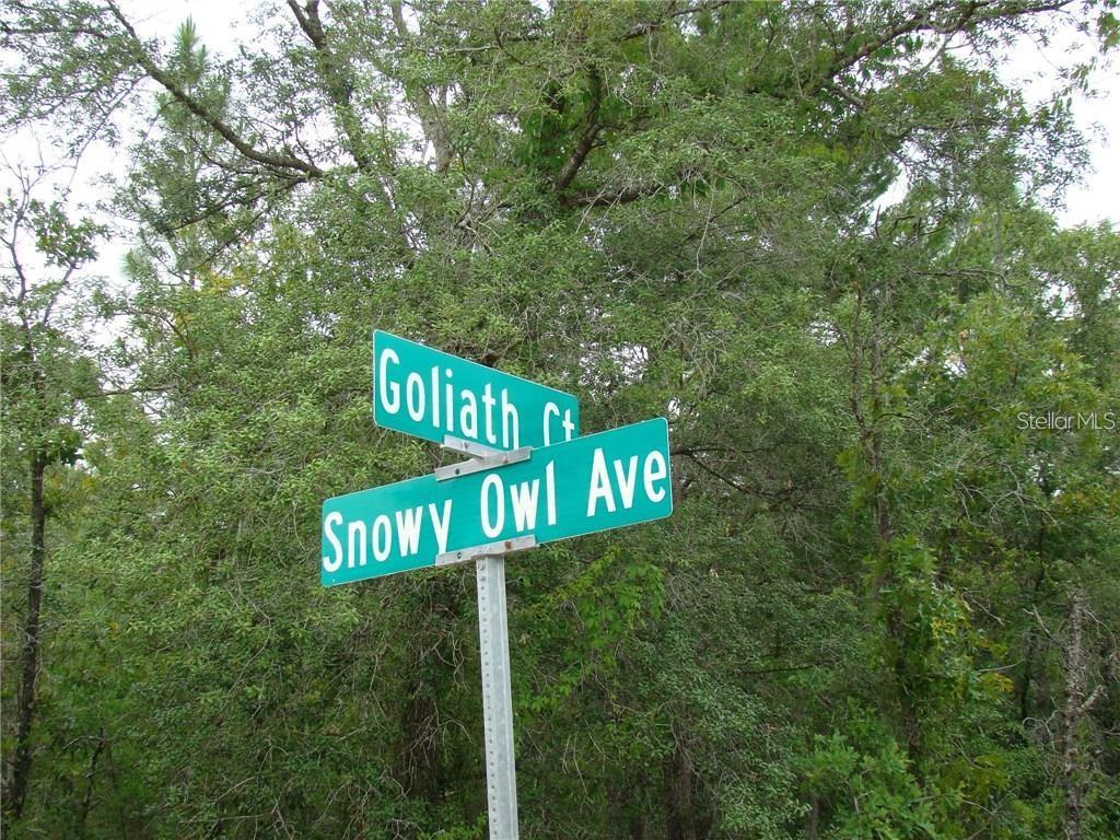 0 Goliath Court Weeki Wachee, FL 34614 - Photo 2 of 4 a street sign sitting on a pole
