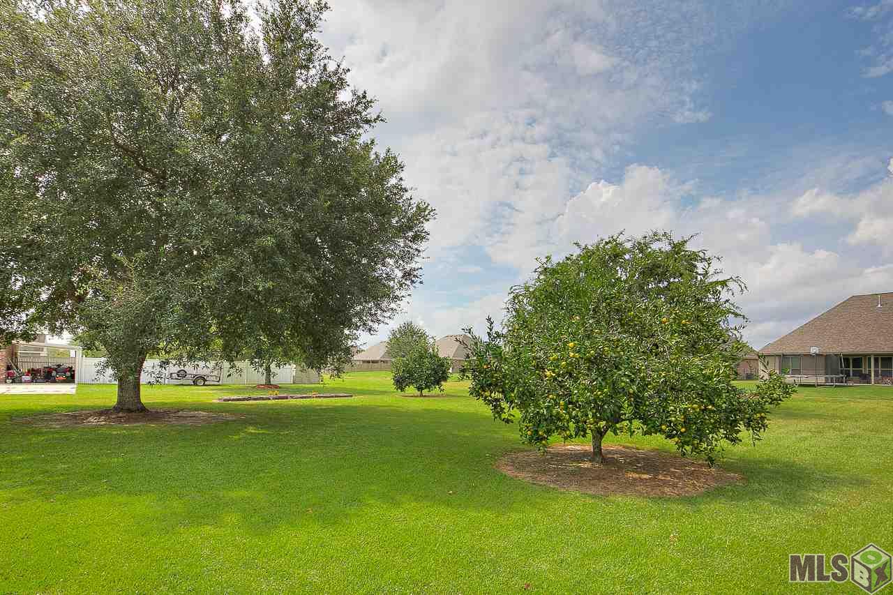 16533 Jay Road Prairieville, LA 70769 - Photo 29 of 31 Gallery Image 29