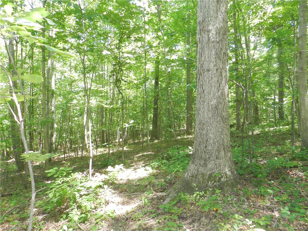 0 Koontz Road Lexington, NC 27295 - Photo 11 of 13 Gallery Image 11
