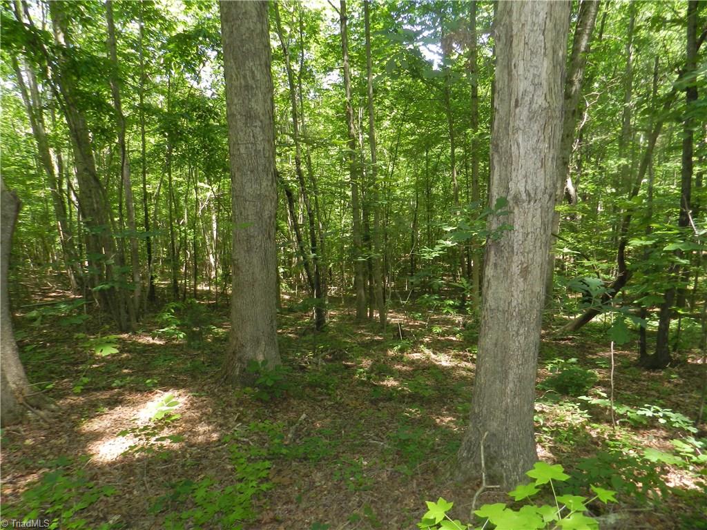 0 Koontz Road Lexington, NC 27295 - Photo 8 of 13 Gallery Image 8
