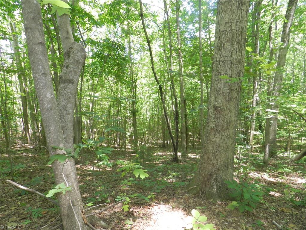 0 Koontz Road Lexington, NC 27295 - Photo 9 of 13 Gallery Image 9
