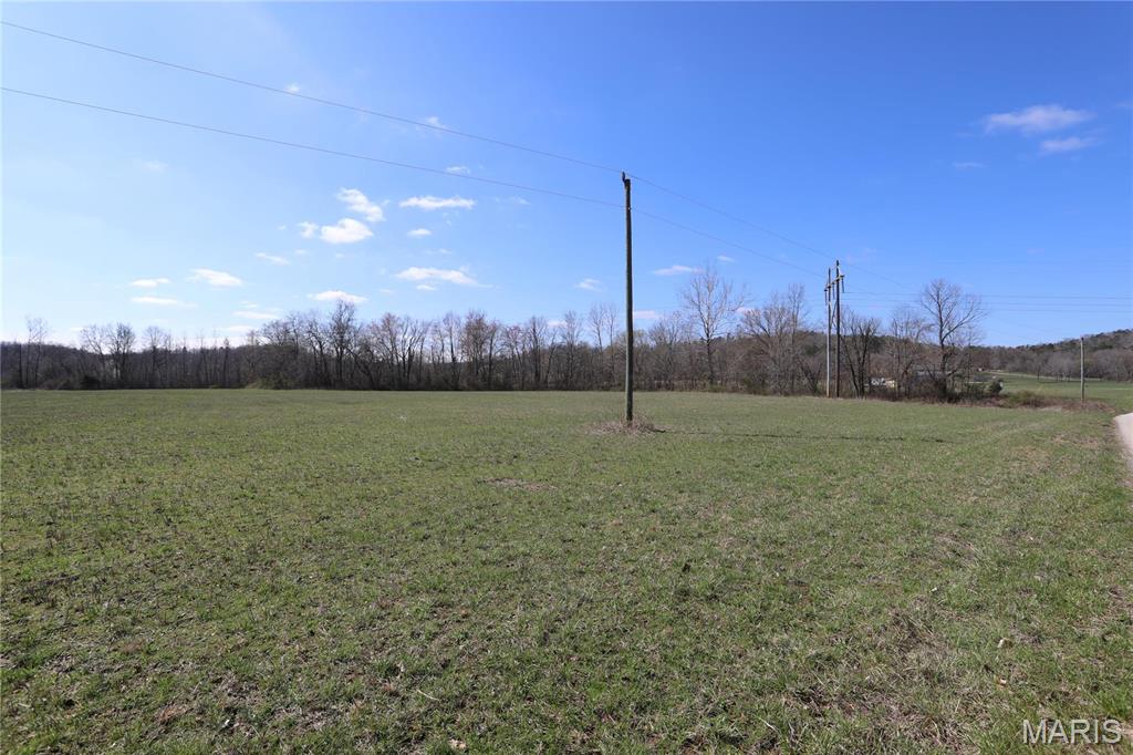 0 Long Road Williamsville, MO 63967 - Photo 12 of 16