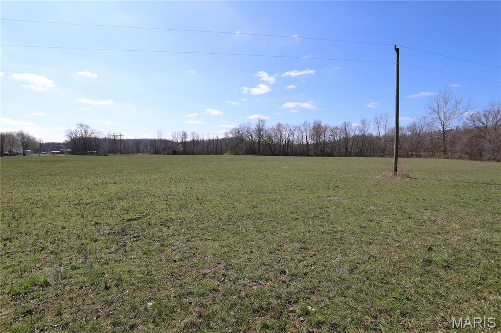 0 Long Road Williamsville, MO 63967 - Photo 13 of 16