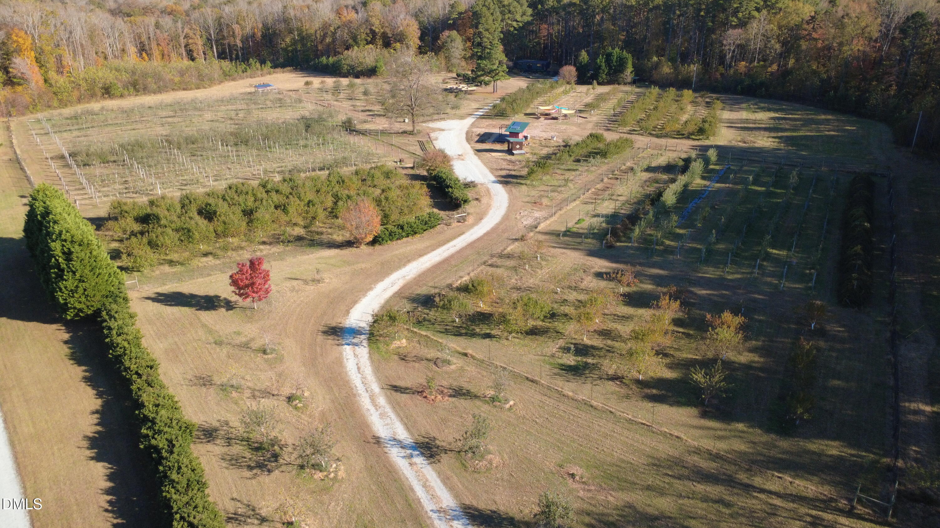 DJI_0044