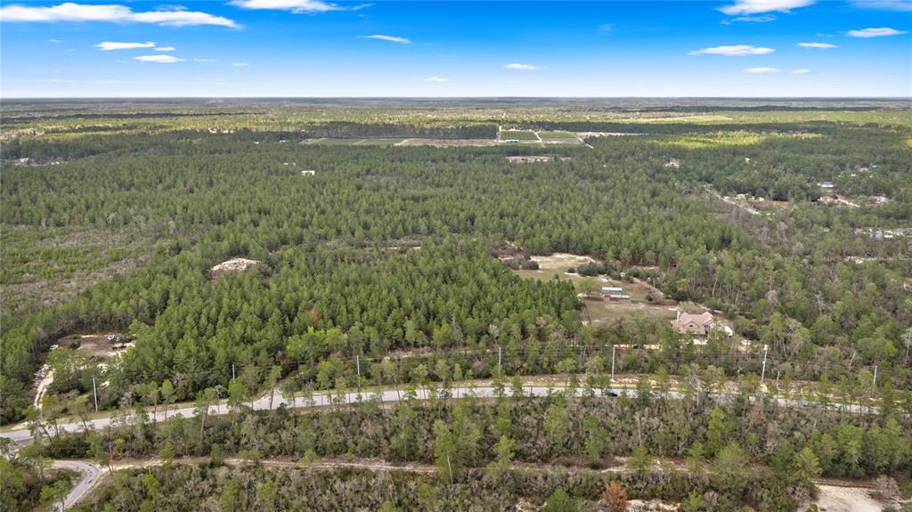 4559 West Dunklin Street Dunnellon, FL 34433 - Photo 53 of 65 a view of a city with lots of bushes