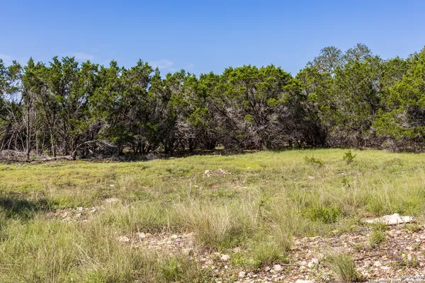 $529,000 | 52 Mezcaya Trail, Bergheim, TX 78004