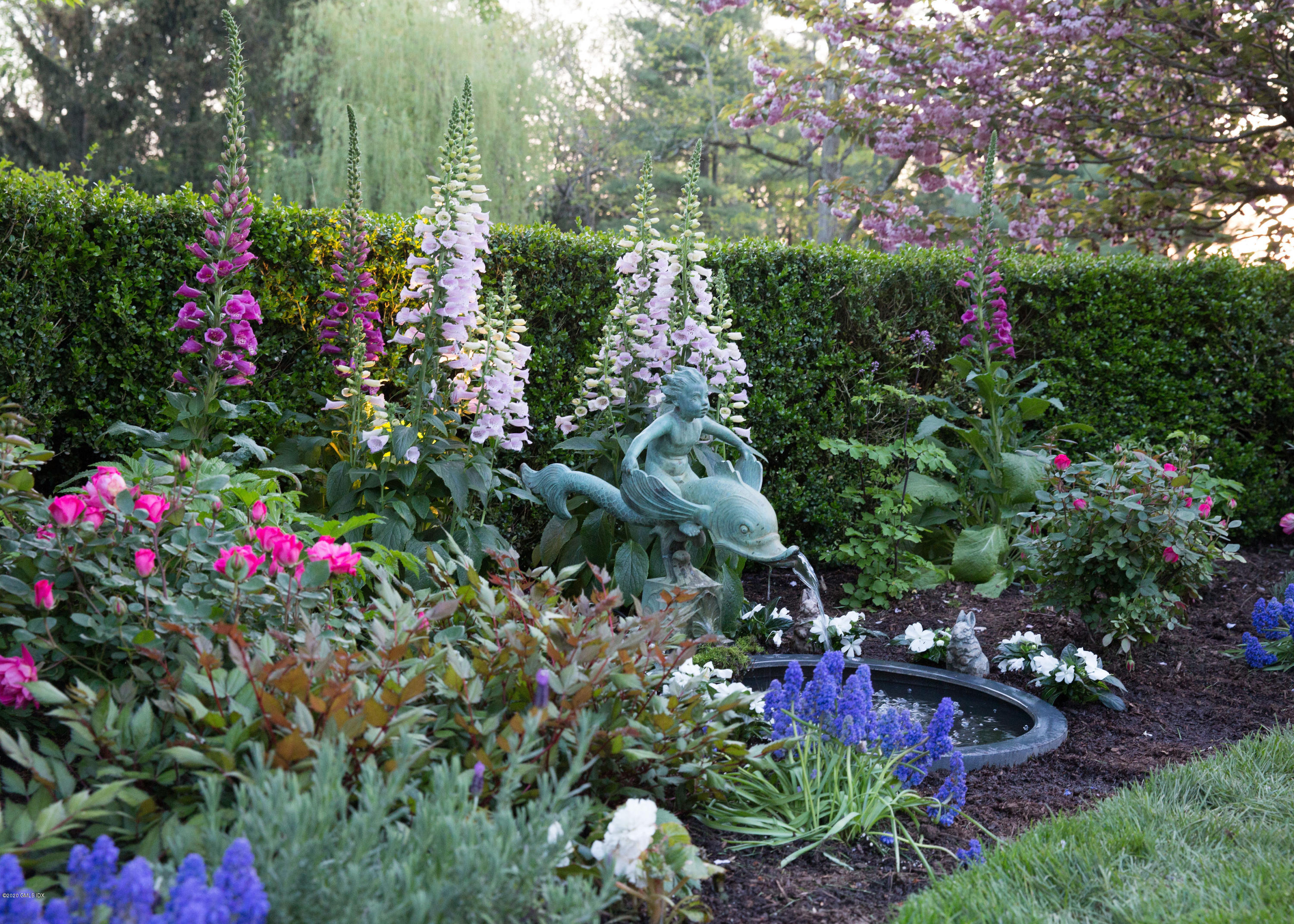 31 Rock Ridge Avenue Greenwich, CT 06831 - Photo 42 of 44 a view of a flower in a garden