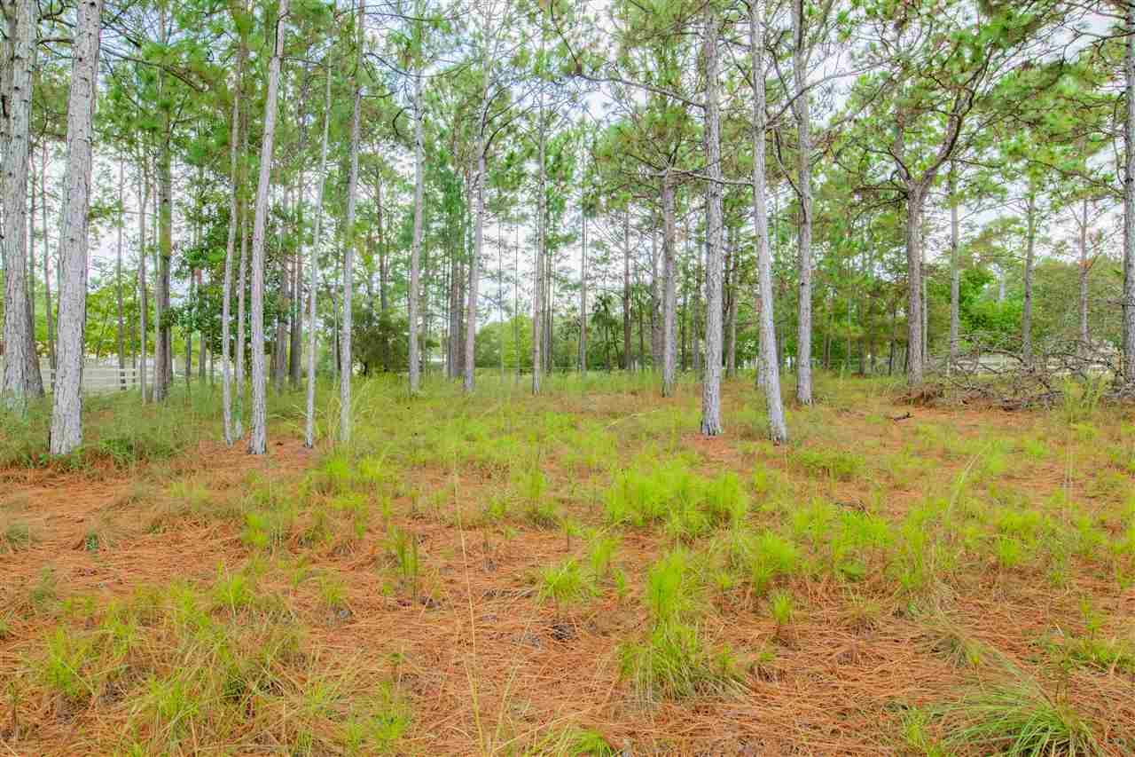 9127 Ridge Road Navarre, FL 32566 - Photo 25 of 26 Gallery Image 25