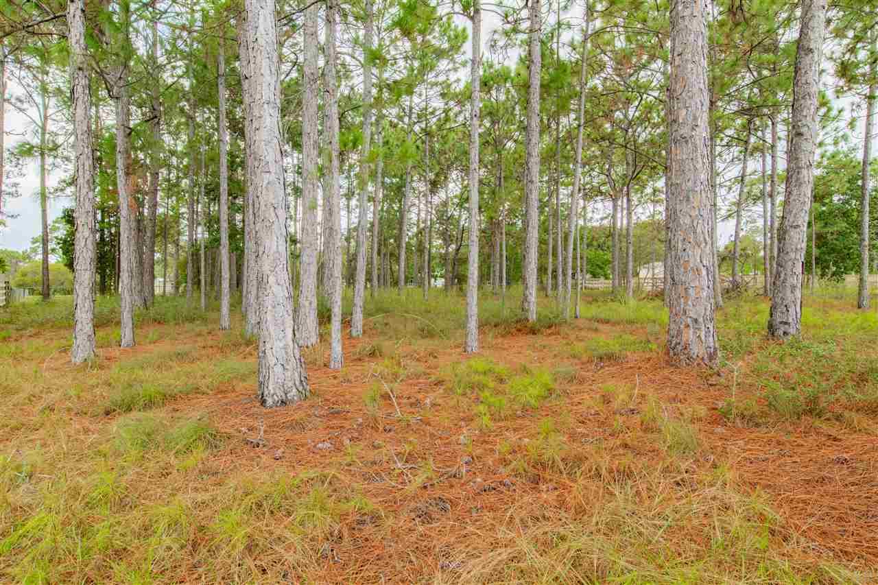 9127 Ridge Road Navarre, FL 32566 - Photo 26 of 26 Gallery Image 26