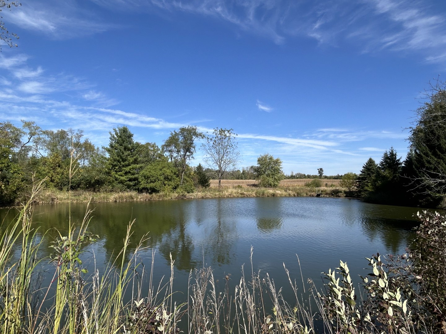 16104 McGuire Road Harvard, IL 60033 - Photo 9 of 17