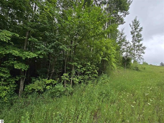 0 North 9 Road Mesick, MI 49668 - Photo 1 of 18