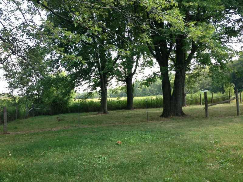 1320 Anderson Frankton Road Anderson, IN 46011 - Photo 2 of 14 Gallery Image 2