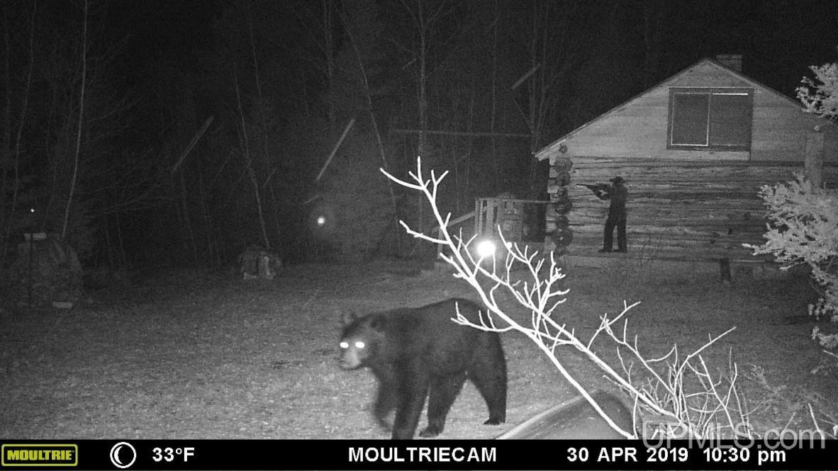Tbd Lukes Road Amasa, MI 49903 - Photo 5 of 24