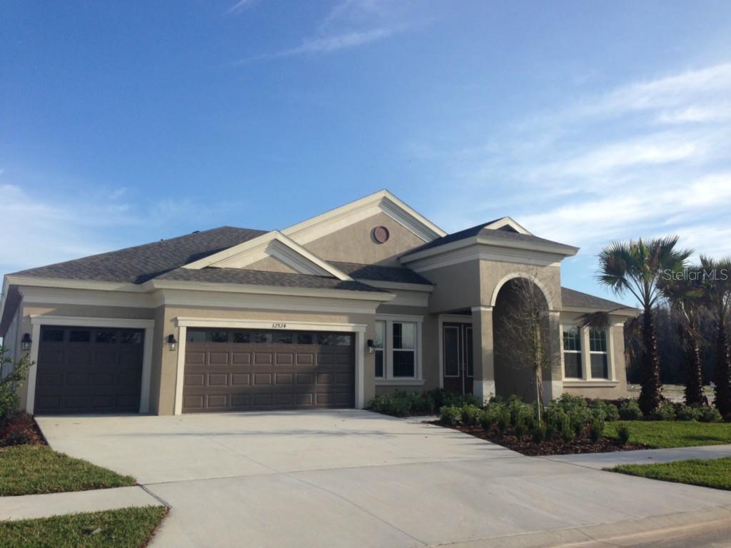 32924 Natural Bridge Road Wesley Chapel, FL 33543 - Photo 1 of 1 Gallery Image 1