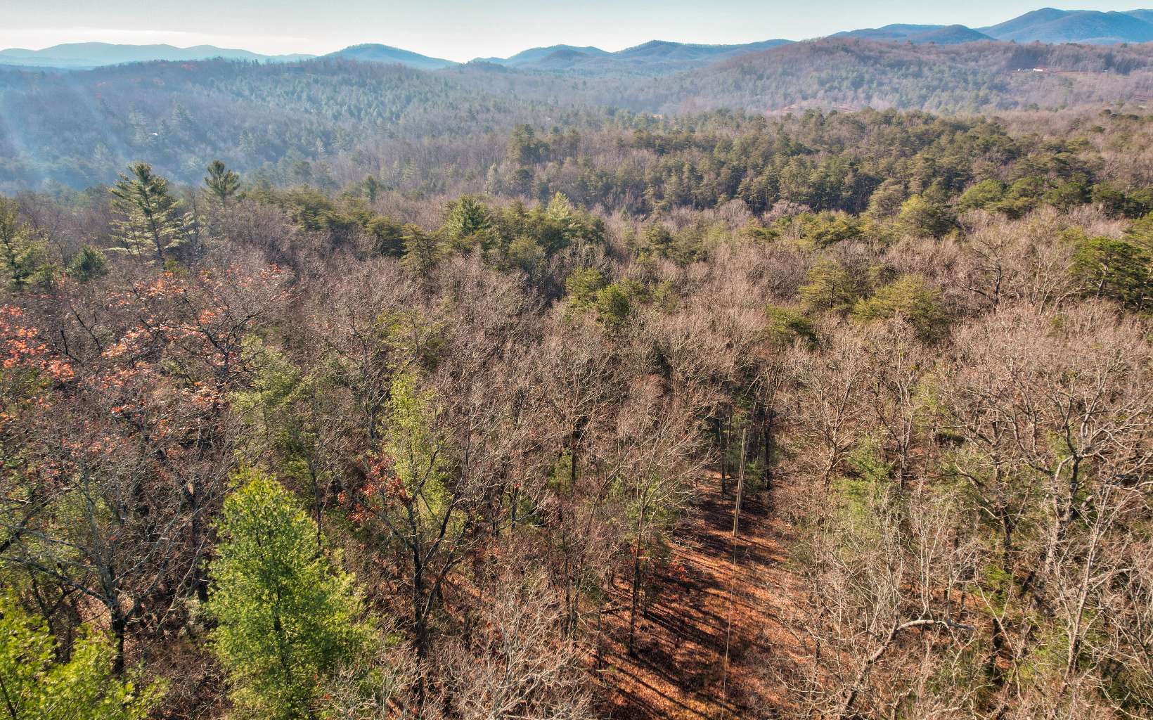 9.71 Deer Watch Lane Blue Ridge, GA 30513 - Photo 5 of 16 Additional View