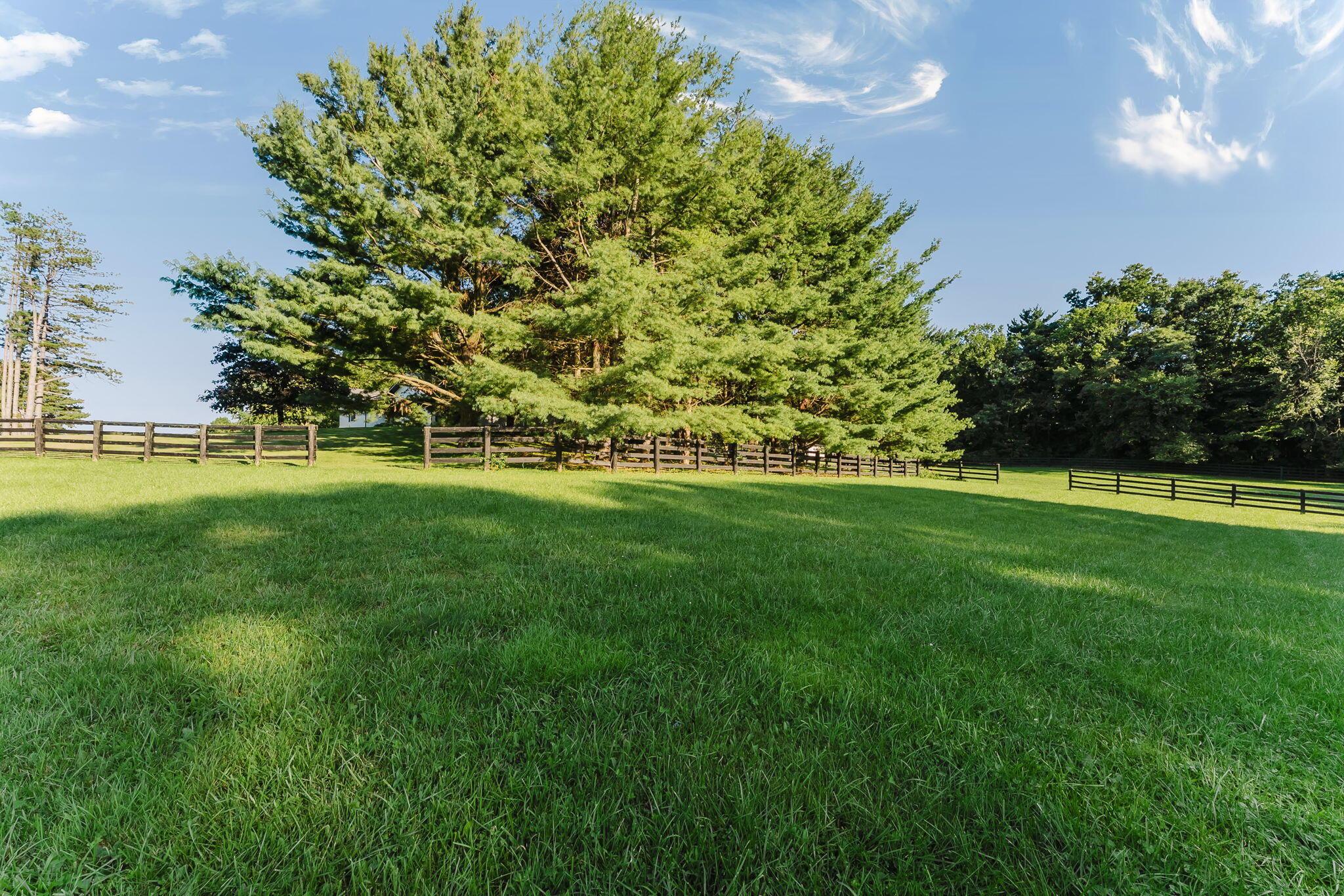 16850 Peerless Road Centerburg, OH 43011 - Photo 94 of 121 92-D.F. - 16850 Peerless Rd, Centerburg-