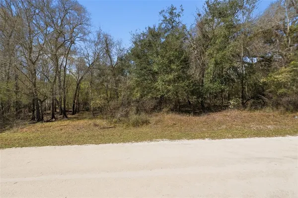 $20,500 | Undisclosed Address, Webster, FL 33597