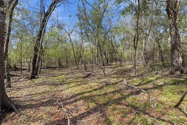 $20,500 | Undisclosed Address, Webster, FL 33597