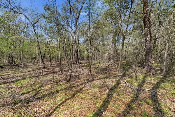 $20,500 | Undisclosed Address, Webster, FL 33597