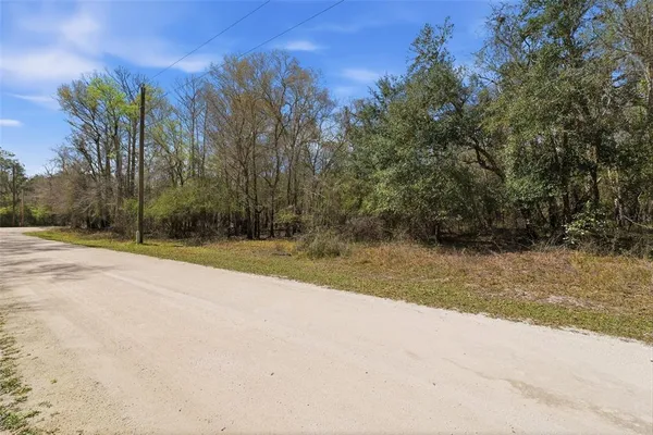 $20,500 | Undisclosed Address, Webster, FL 33597