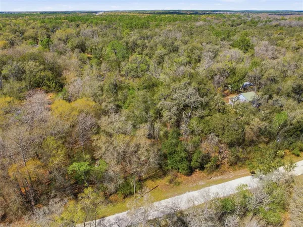 $20,500 | Undisclosed Address, Webster, FL 33597