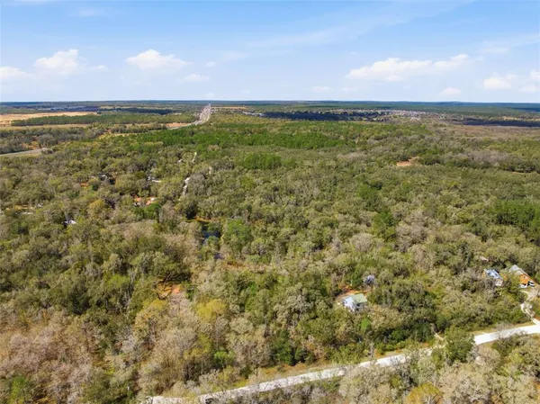 $20,500 | Undisclosed Address, Webster, FL 33597