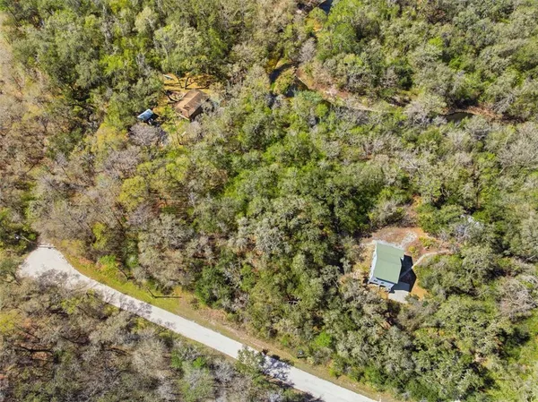 $20,500 | Undisclosed Address, Webster, FL 33597