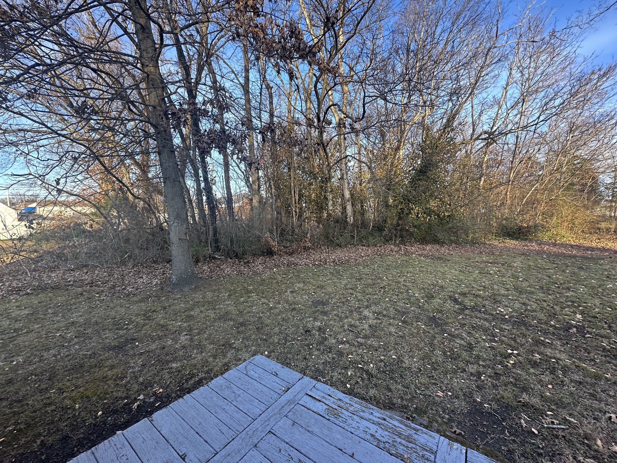 110 Main Street White Bluff, TN 37187 - Photo 9 of 9 a view of a dry yard with wooden fence and large trees