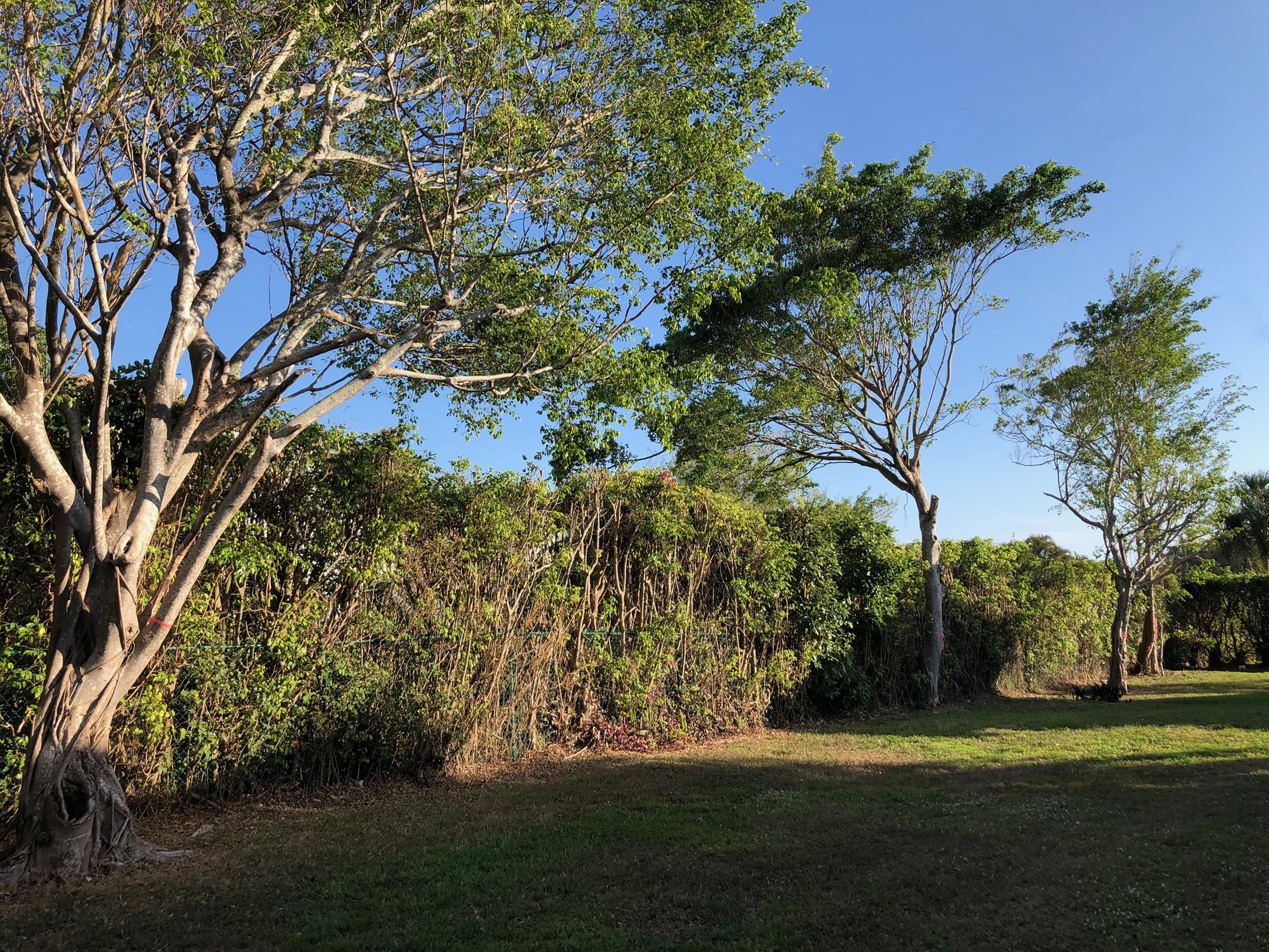 7200 Northwest 2nd Avenue, Unit 89 Boca Raton, FL 33487 - Photo 18 of 22 rear view-lots of privacy