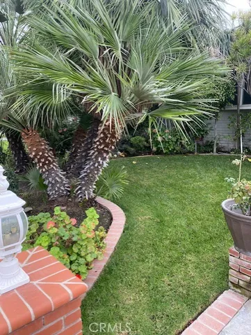a view of a backyard with plants