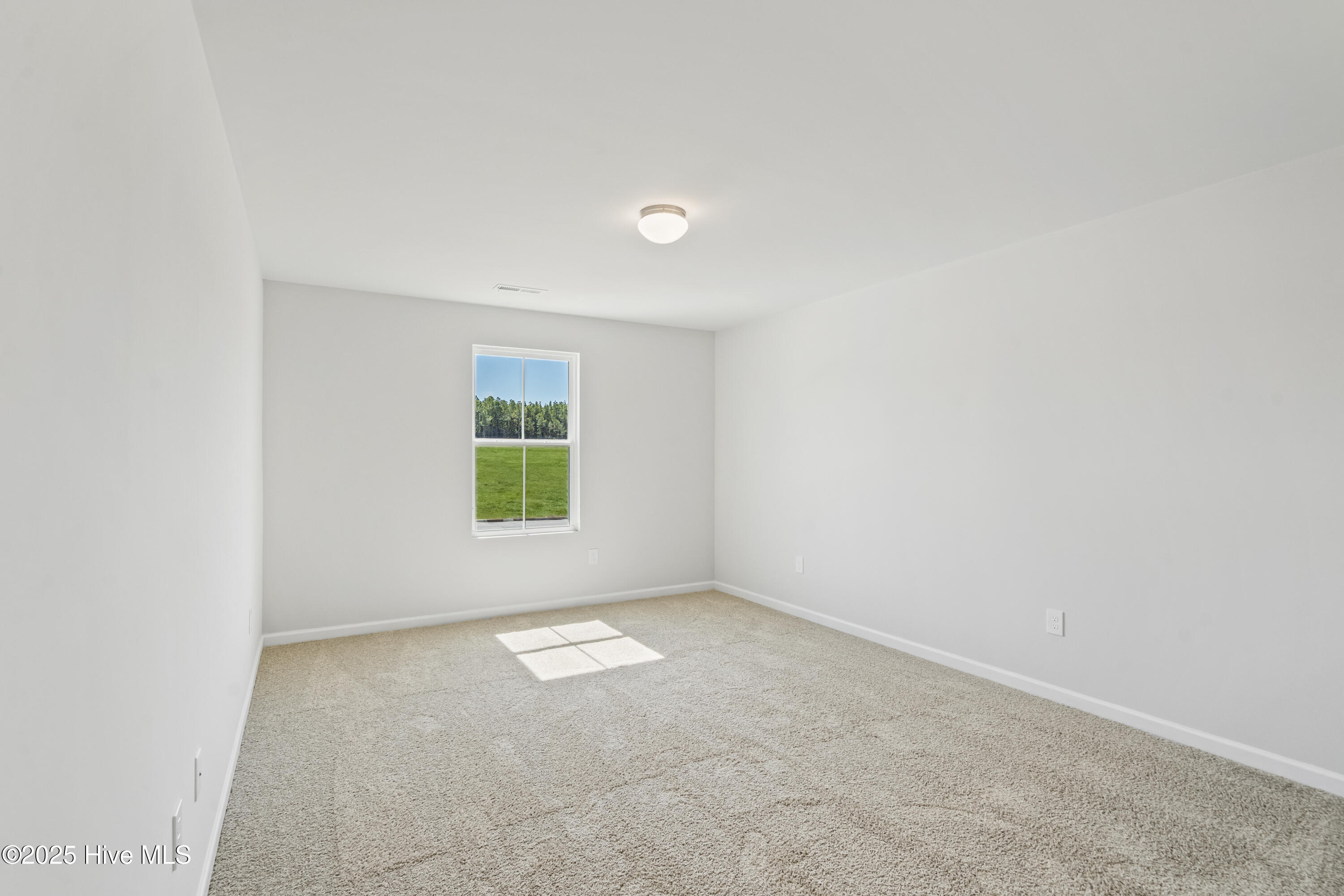 321 Happy Trail Road Aberdeen, NC 28315 - Photo 23 of 37 Fay_Taiz_Lot45 (22) (1)