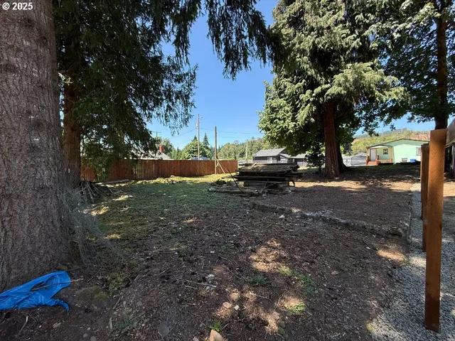 a backyard of a house with lots of green space