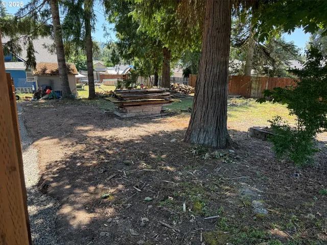 a view of a yard with plants and large trees