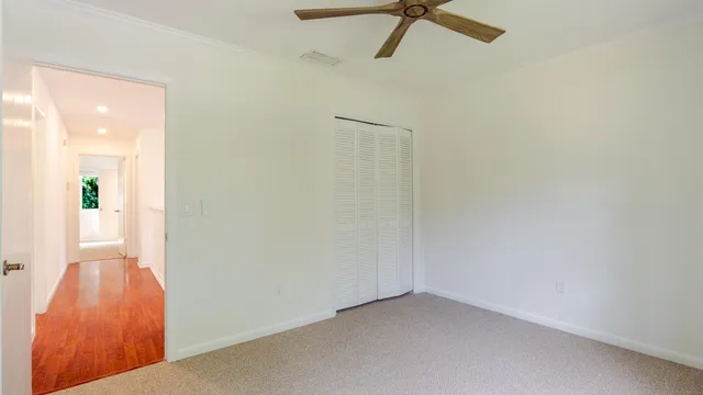 a view of a backyard with plants