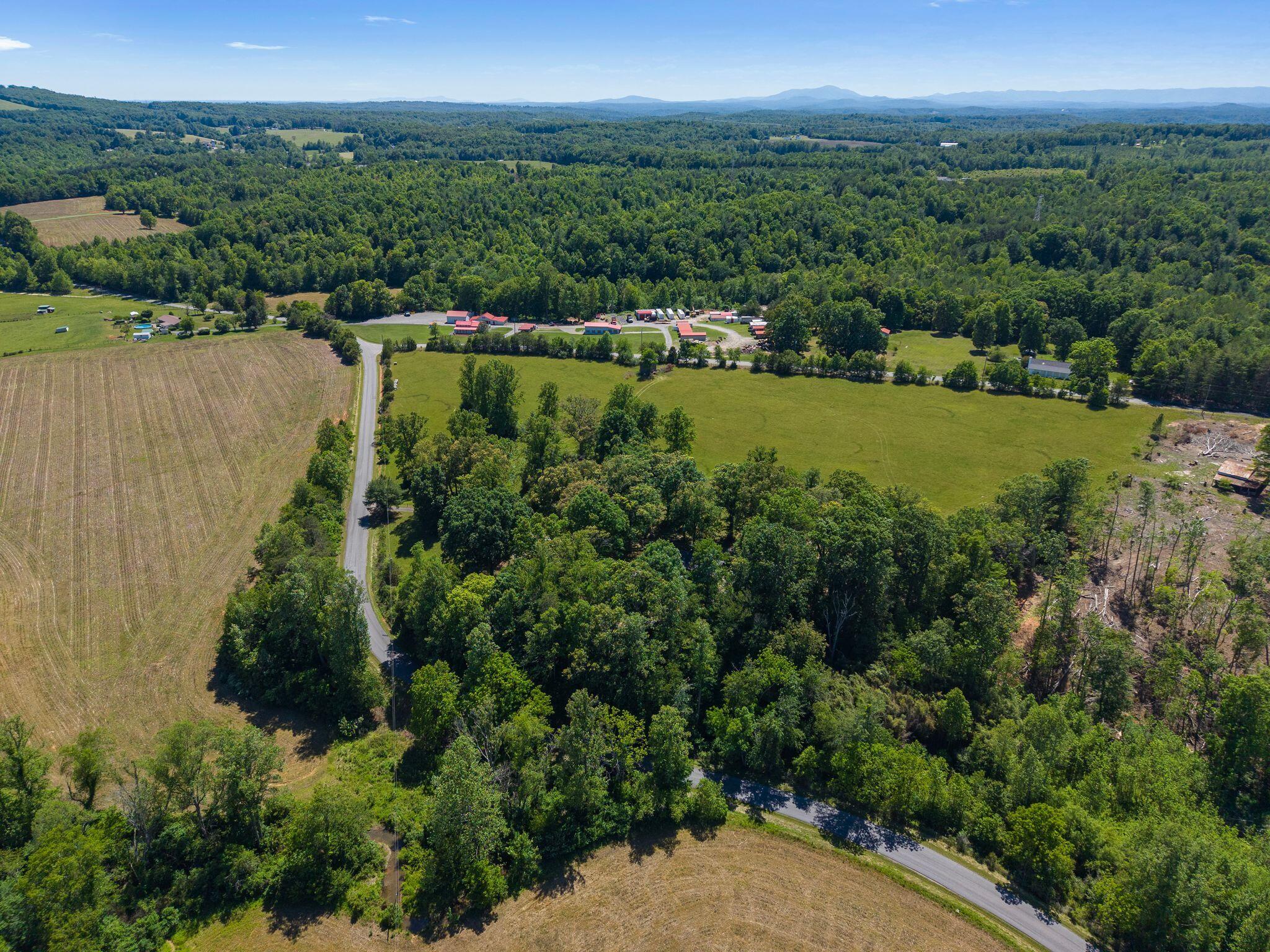 1115 Robin Ridge Road Henry, VA 24102 - Photo 51 of 54 an aerial view of a residential houses with outdoor space and trees