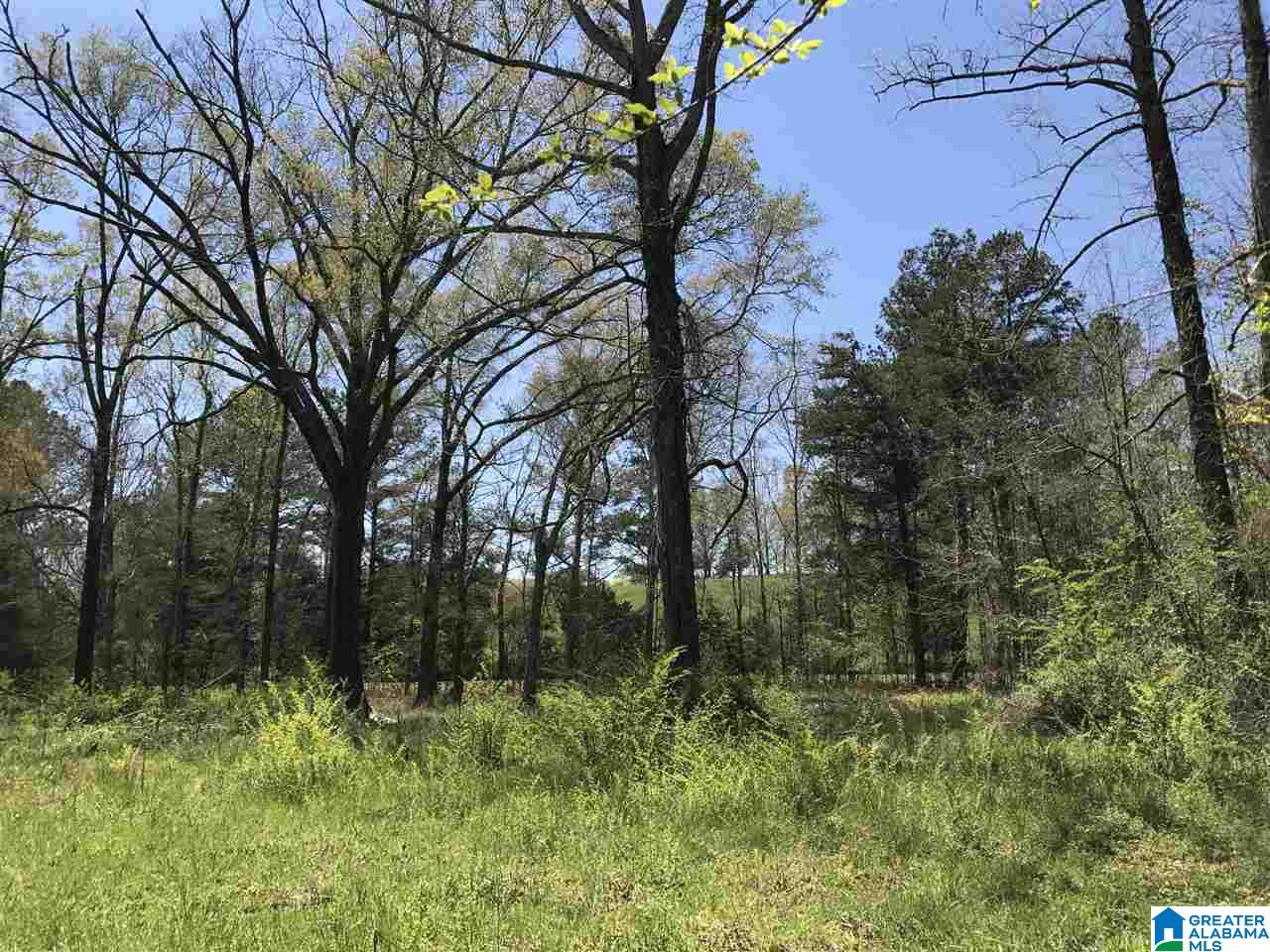 4133 Roy Webb Road, Unit 1 Jacksonville, AL 36265 - Photo 36 of 40