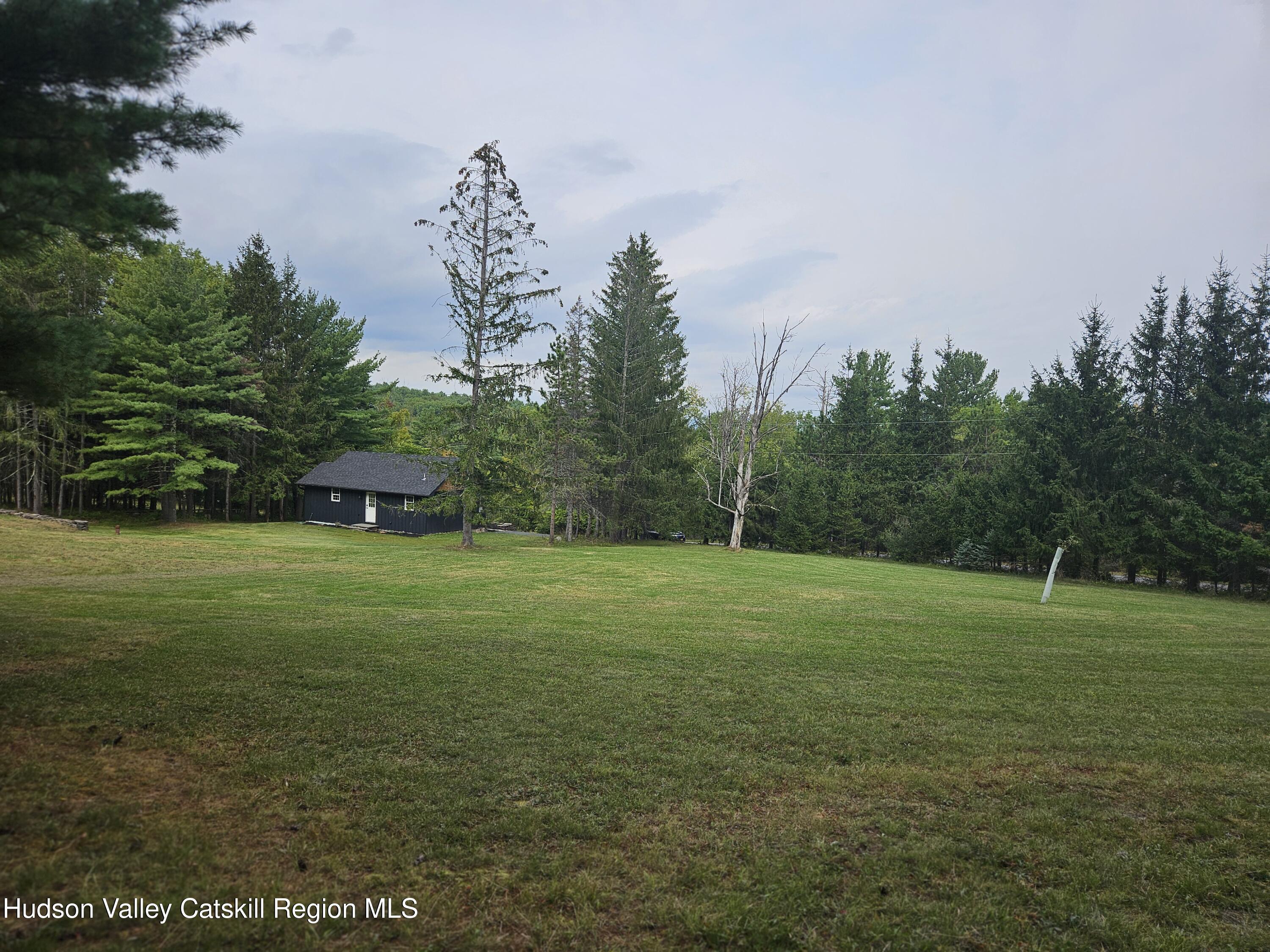 20 Reich Road Cornwallville, NY 12418 - Photo 41 of 53 Spacious Land