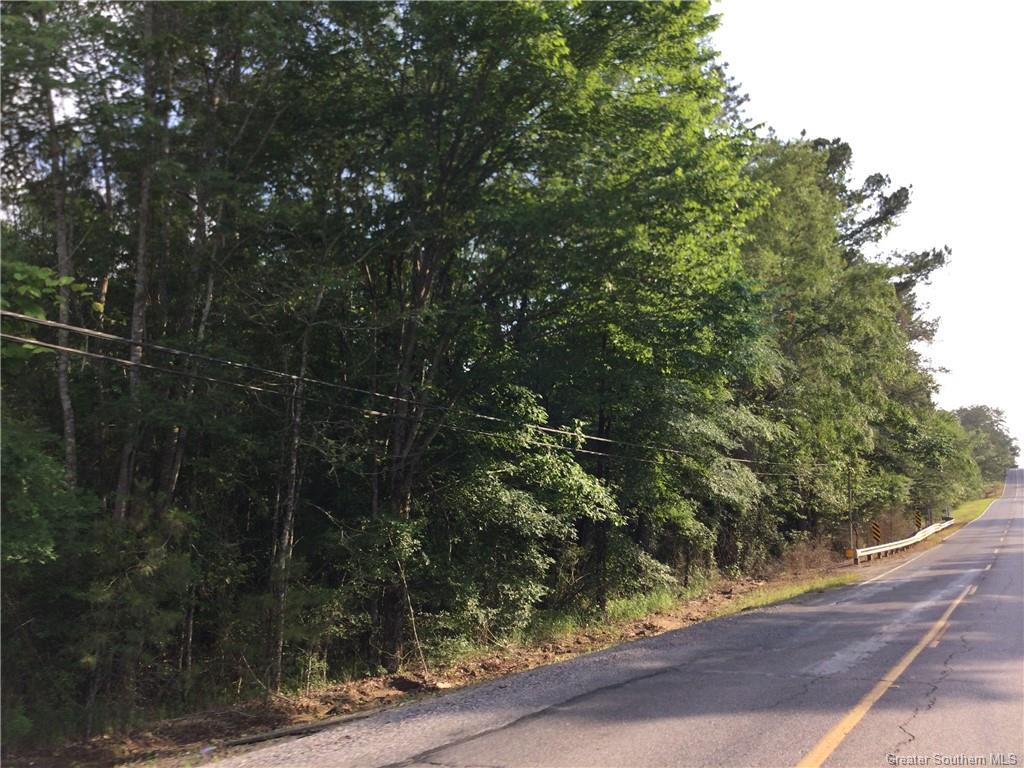 0 Slagle Road Leesville, LA 71446 - Photo 3 of 8