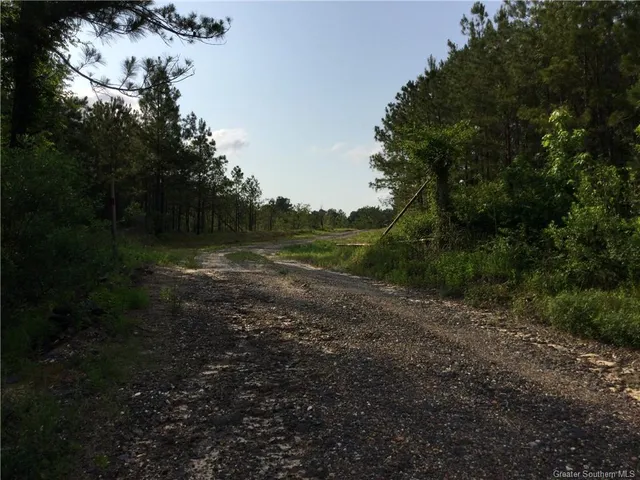 $216,500 | 0 Slagle Road, Leesville, LA 71446