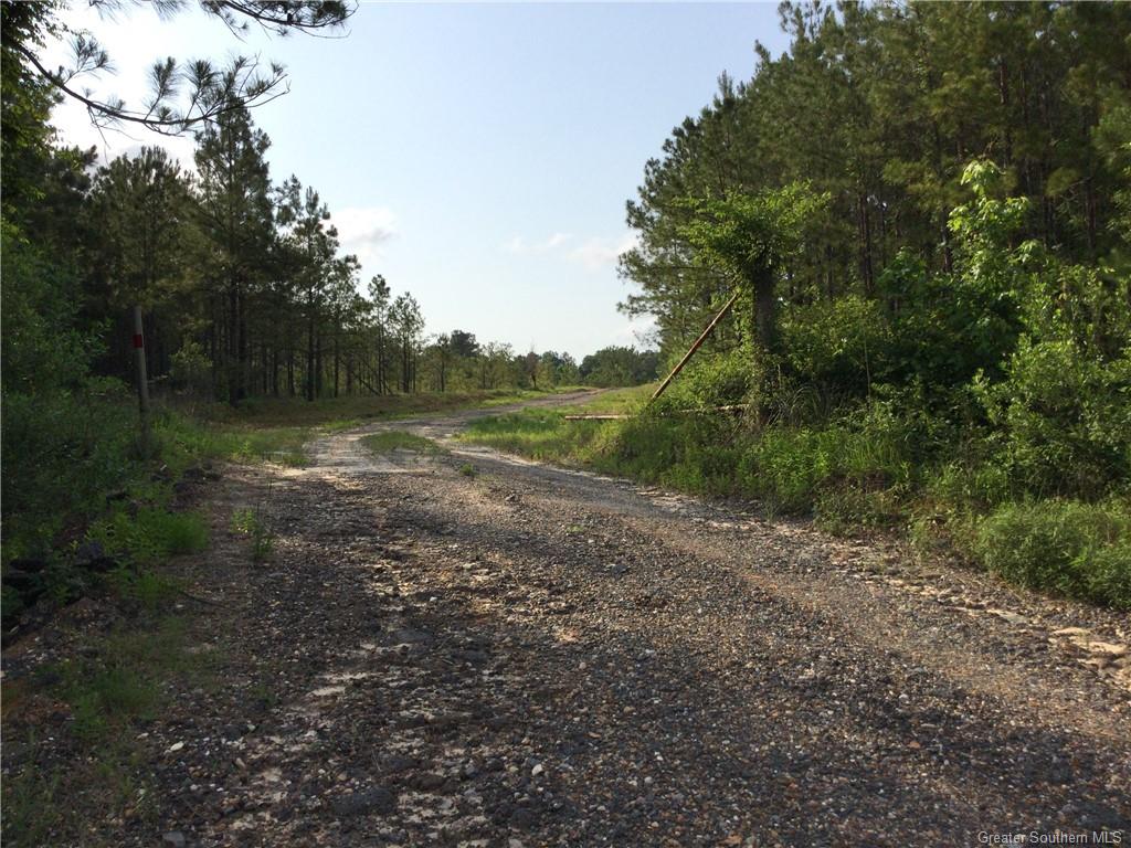 0 Slagle Road Leesville, LA 71446 - Photo 7 of 8