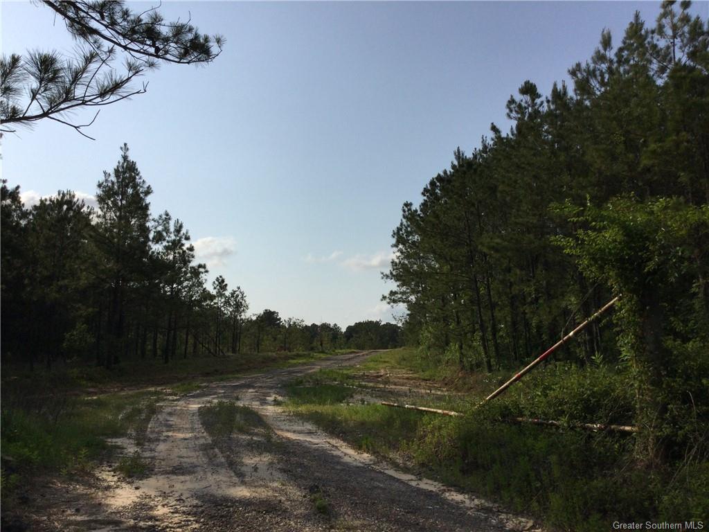 0 Slagle Road Leesville, LA 71446 - Photo 8 of 8