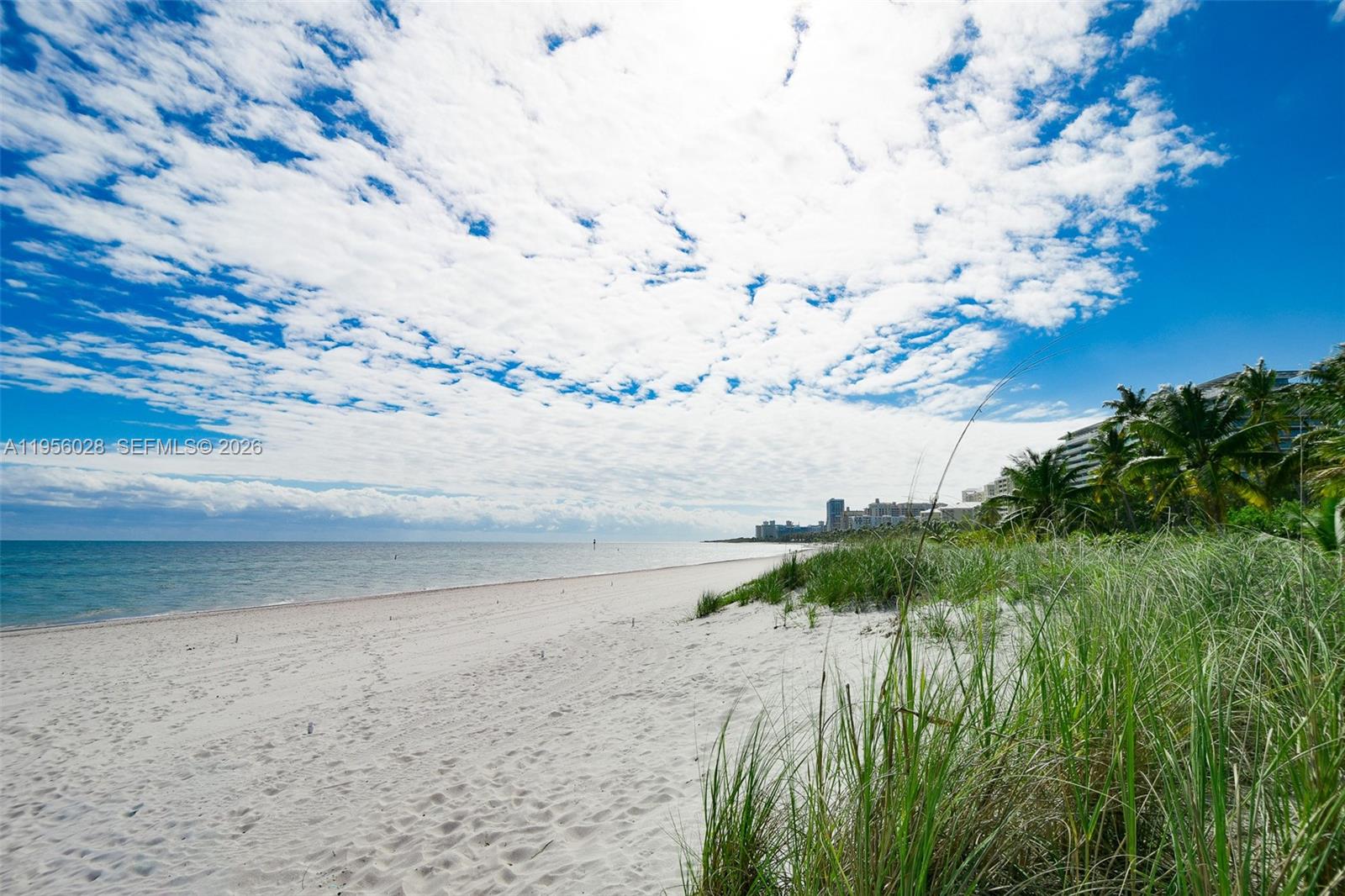 251 Crandon Boulevard, Unit 704 Key Biscayne, FL 33149 - Photo 26 of 32