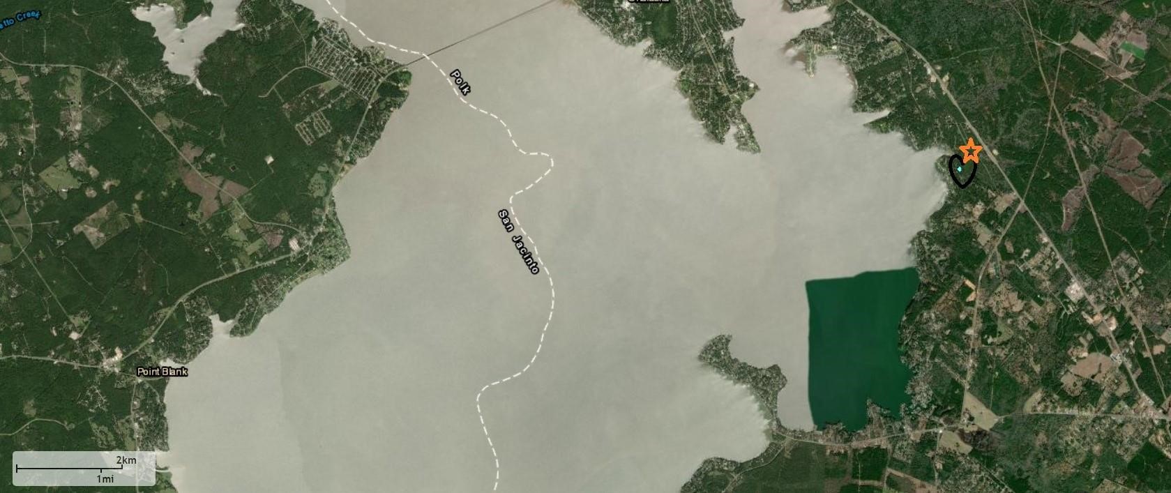 505 Lakeshore Point Livingston, TX 77351 - Photo 3 of 4 a view of a plant