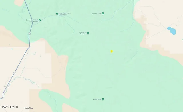 a view of a tree in a forest