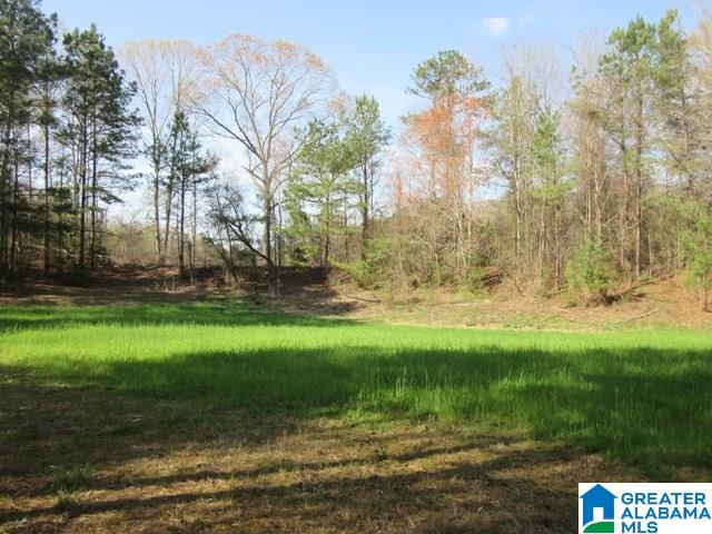229 County Road, Unit 29 Thorsby, AL 35171 - Photo 7 of 23