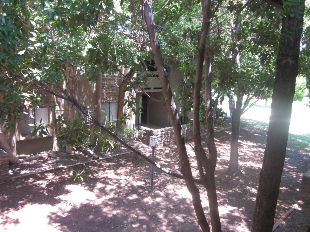 3825 East Camelback Road, Unit 247 Phoenix, AZ 85018 - Photo 6 of 7 Patio View